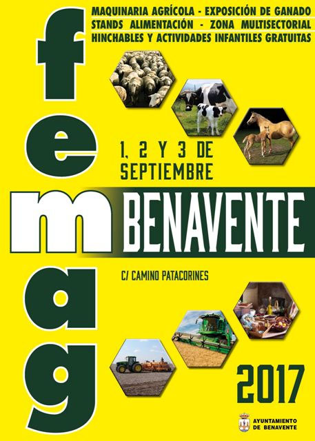 FEMAG BENAVENTE 2017